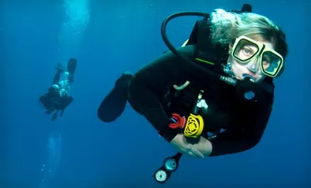 $99 for a Discover Scuba Lesson for Two at Panama City Dive Charters ($200 Value) - Primary Image