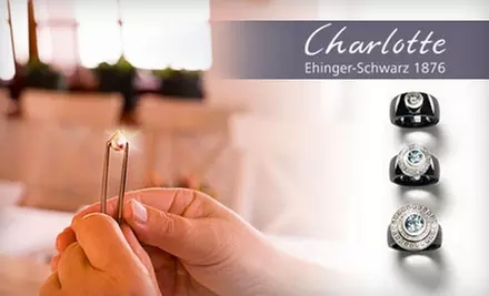 $49 for $125 Worth of Interchangeable Fine Jewelry from Charlotte Ehinger-Schwarz  - Primary Image