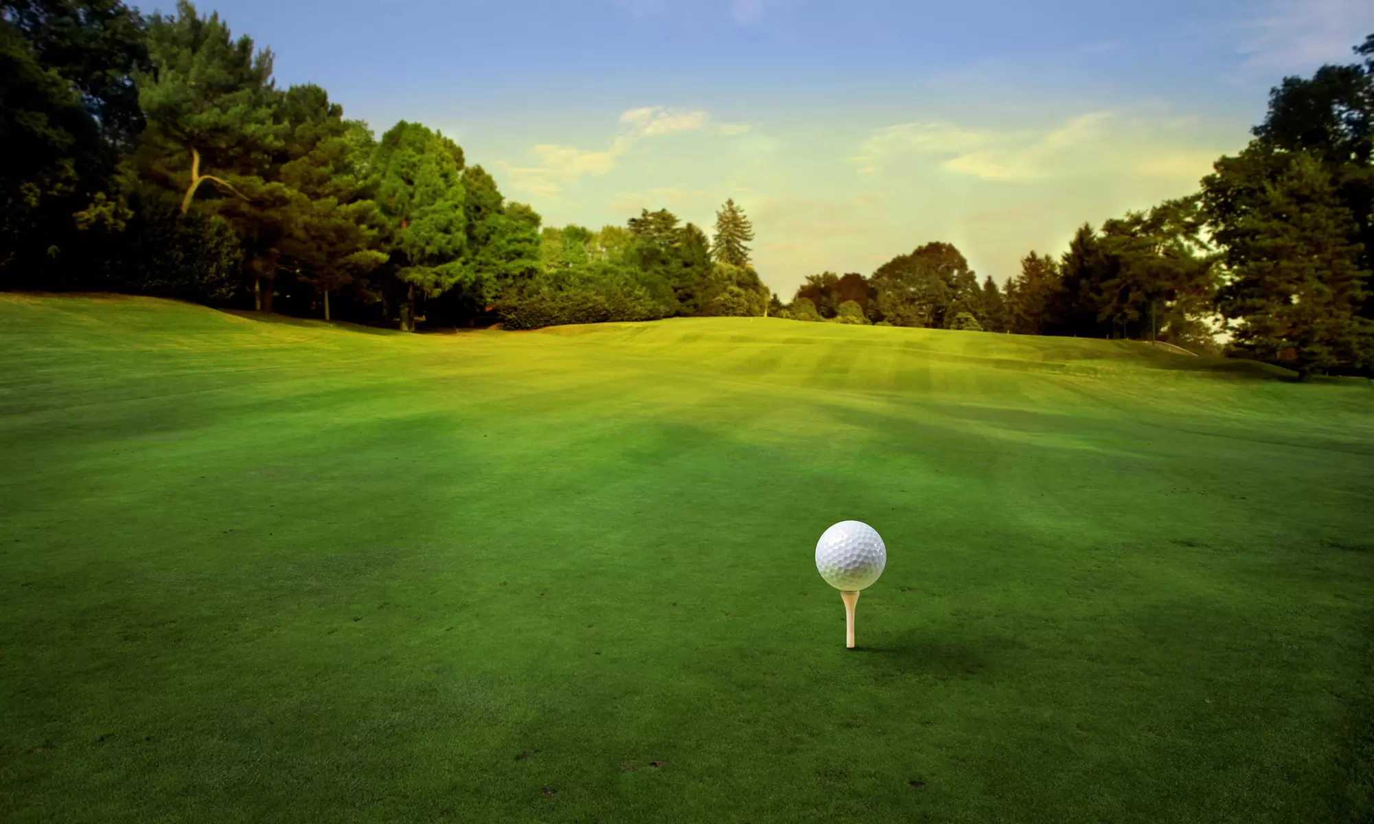 One-Day Golf Lesson from David Morland IV Golf Academy  (20% Off) - Primary Image