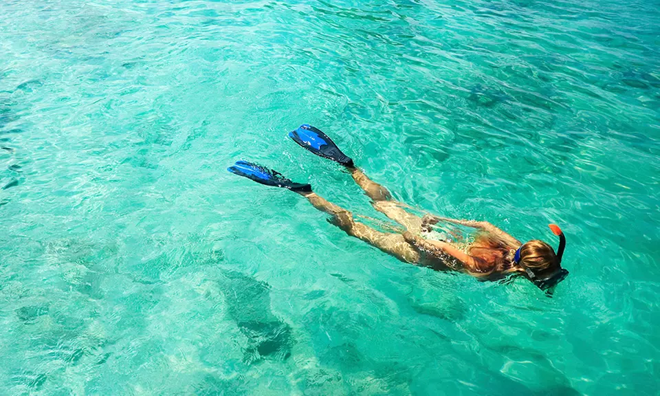 Up to 35% Off on Snorkeling at Waters Edge Paddle Board Tours - Primary Image