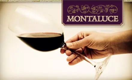 $11 for Two Wine-Tasting Flights at Montaluce Winery ($22 Value) - Primary Image