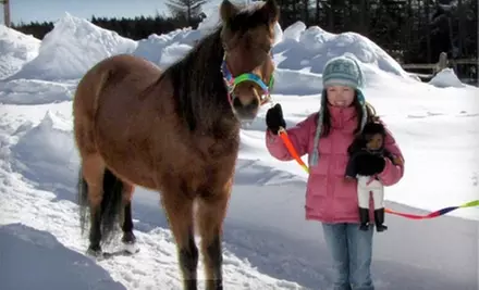 $20 for Two Admissions to Children's Newfoundland Pony Pals Session and Ride at Embarr Stables ($40 Value) - Primary Image
