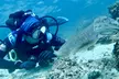 Up to 56% Off on Diving Lesson at DiveCampus - Image 7