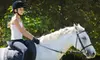 $30 for One-Hour Private Horse-Riding Lesson at Rising Star Ranch in Roanoke