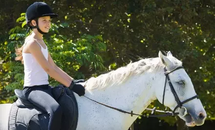 $30 for One-Hour Private Horse-Riding Lesson at Rising Star Ranch in Roanoke - Primary Image