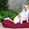 Image 11: 1 à 3 maxi matelas-coussins pour chien et chat