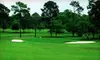 $10 for Round of Golf and Cart at Rainbow’s End Golf Club