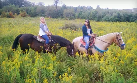 $22 for One Beginner Trail Ride and Lesson at Equestrian Ridge Farm in New Plymouth - Primary Image