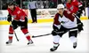 Tickets to Lake Erie Monsters AHL Hockey Game on October 28 or 30 (Half Off). Four Options Available.