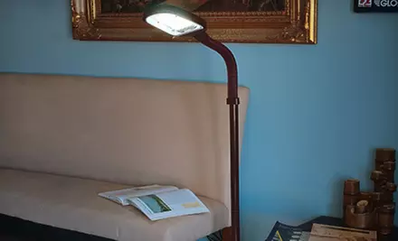 Trademark Home Sunlight-Simulating Desk or Floor Lamp (Up to 66% Off). Multiple Finishes Available. - Primary Image