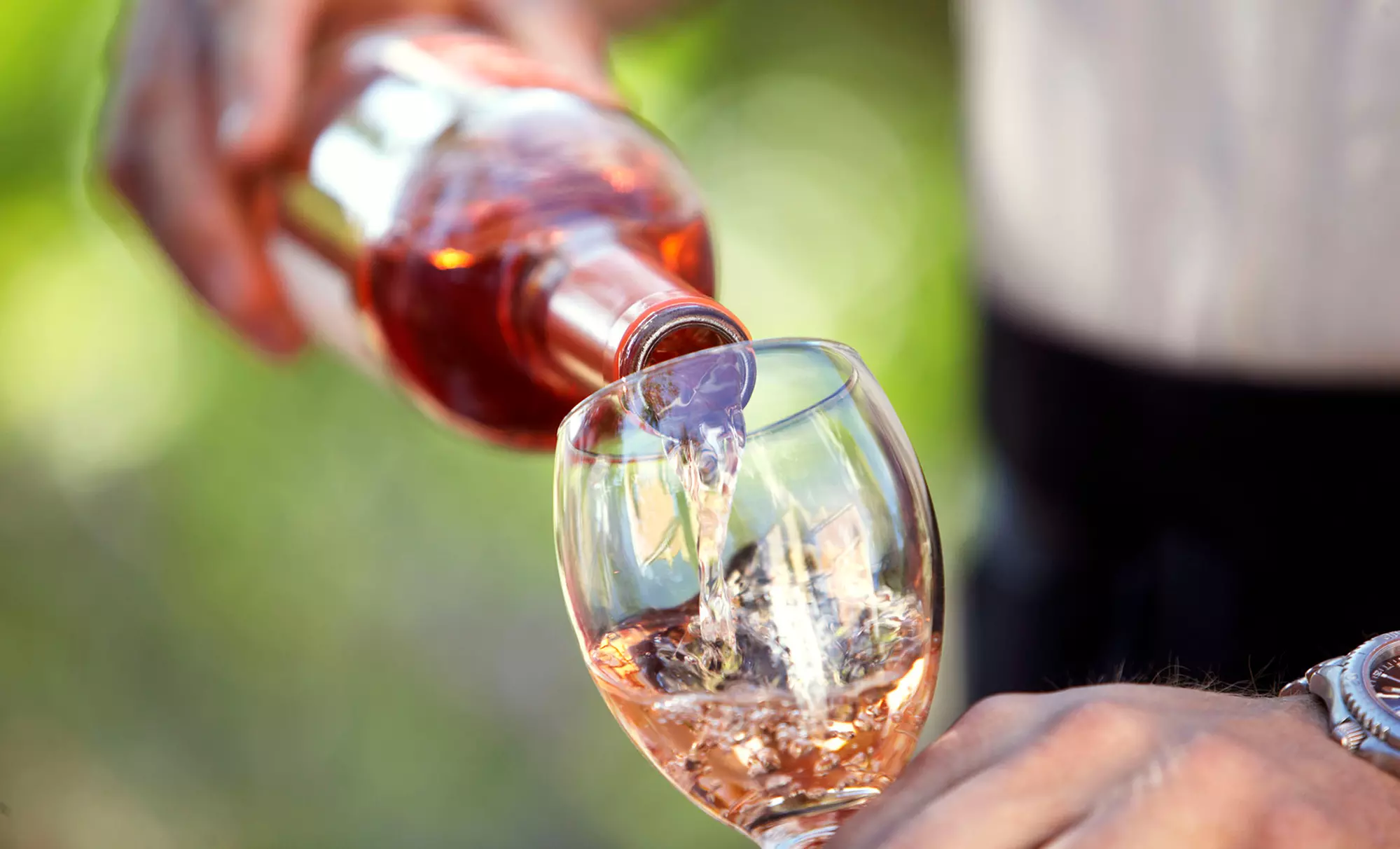 $20 for a Wine Tasting for Two with Bottle of Wine and Hat or Tumbler at Grassy Creek Vineyard ($40 Value) - Primary Image