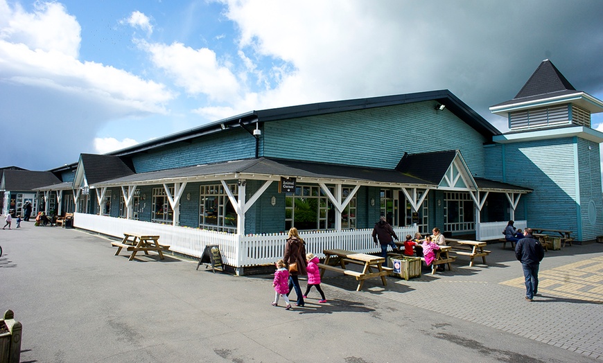 Image 6: Cheshire Ice Cream Farm