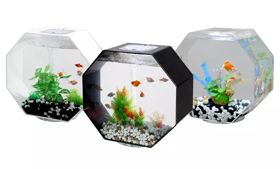 Aquavista 8Gal. Octagon Fish Aquariums - Primary Image