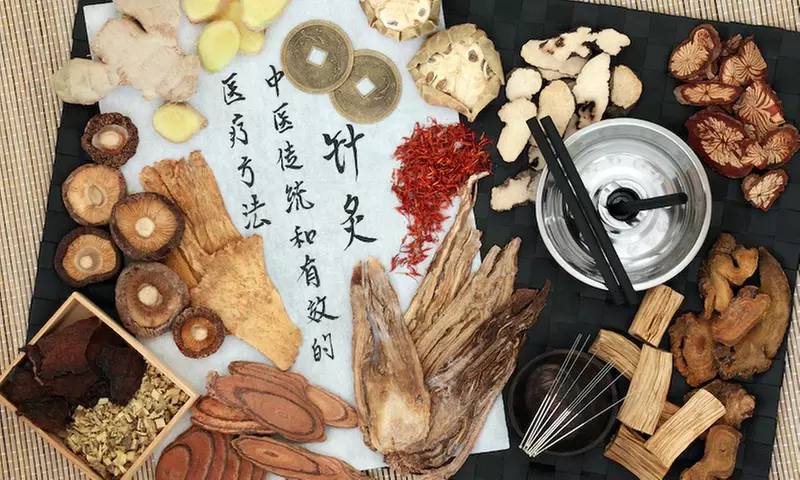 Formation en Médecine Chinoise en ligne avec International Open Academy (87% de réduction) - Primary Image