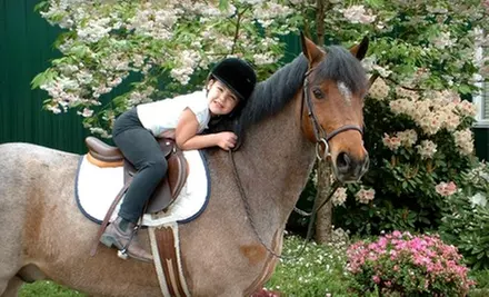$39 for Semiprivate Horseback-Riding Lesson at Archway Equestrian Sports in Bothell - Primary Image