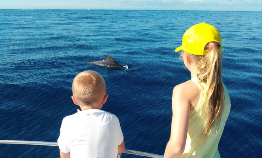 Image 3: Paseo en barco