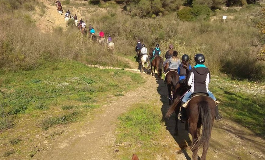 Image 1: Día de aventuras: ruta a caballo para hasta 4 personas de 60 minutos