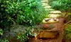 $15 for a Garden Stone Painting Workshop at Hope in Art Studio in Fairport ($30 Value)
