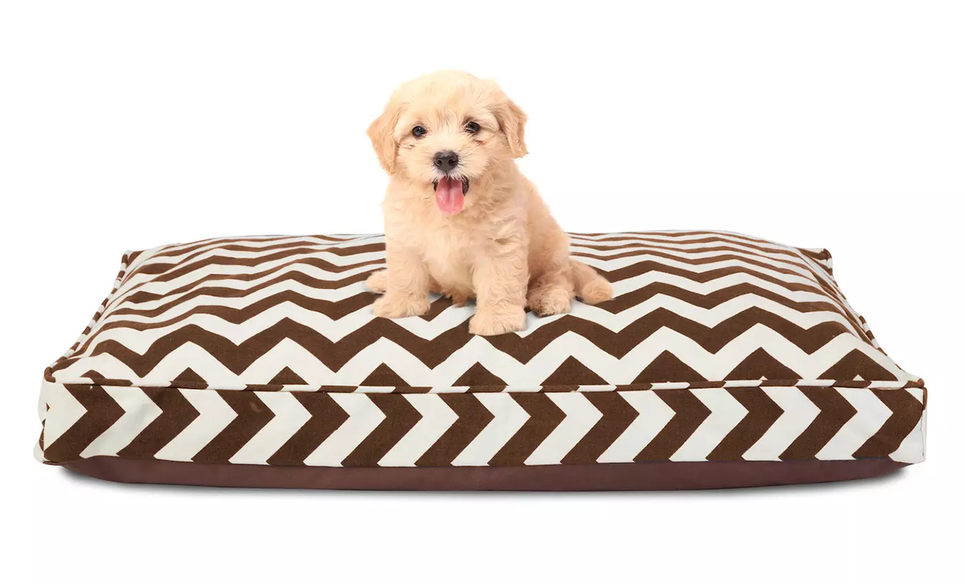 Animal Planet Memory-Foam Pet Beds - Second Medium