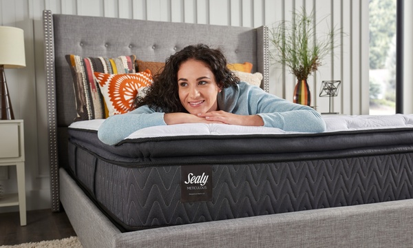 Sealy titanium 14 plush sale pillowtop