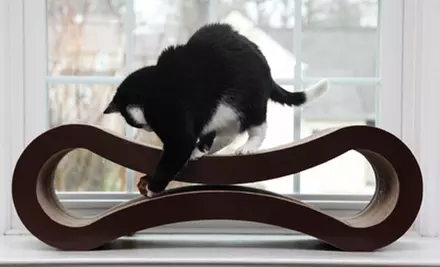 $35 for a PetFusion Cat Scratcher Lounge ($99.95 Value) - Second Medium