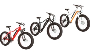 Monster eBike MTB