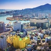 Image 3: ✈ 10-Night Korea Vacation with Air from TripToGo