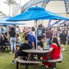 Image 5: Boca Raton Beer, Wine & Spirits Fest
