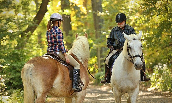 horse ride in central park