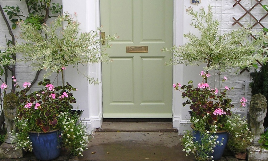 Image 1: Two Salix Flamingo Topiary Trees