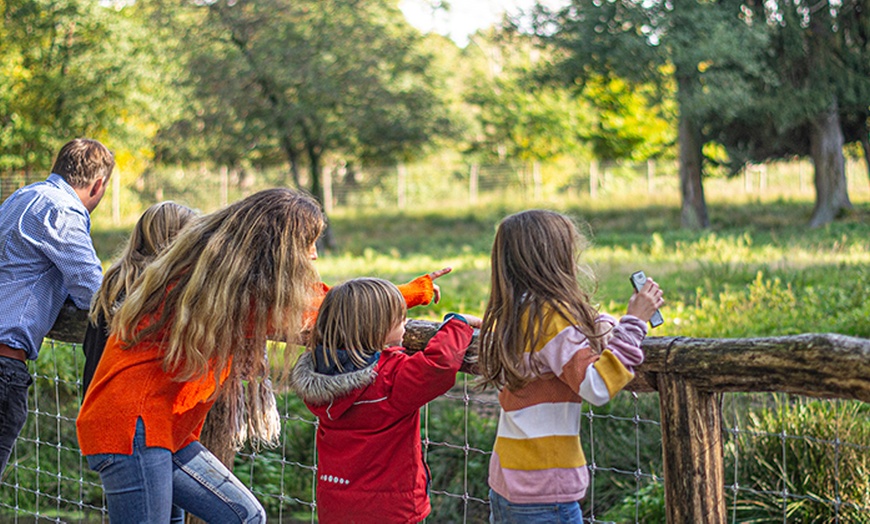 Image 12: Tagesticket Wildpark Müden