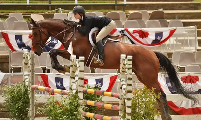 Horseback-Riding Lessons at Hunters Pointe Farm (Up to 41% Off). Two Options Available. - Primary Image