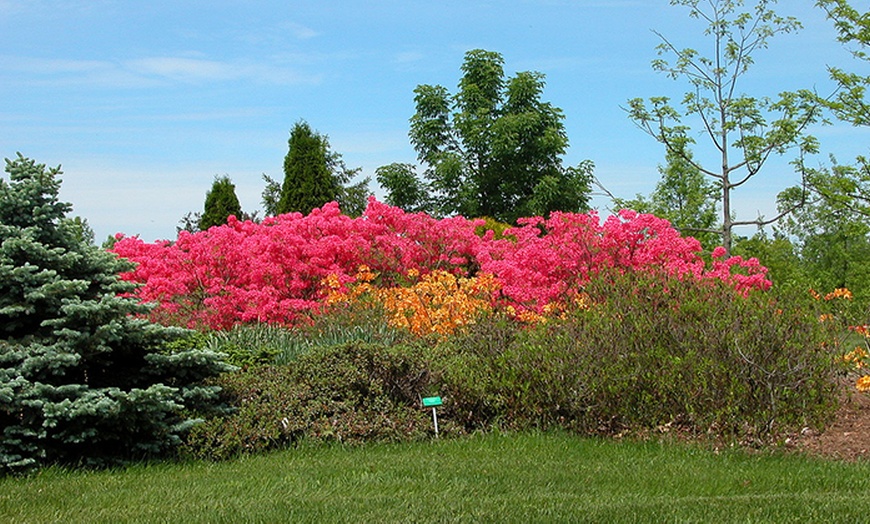 Image 12: Family Garden Visit