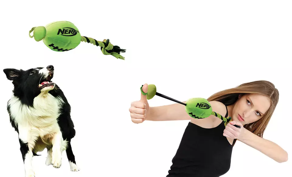 Nerf Dog Toys. Multiple Styles from $5.99–$8.99. Free Returns. - Primary Image