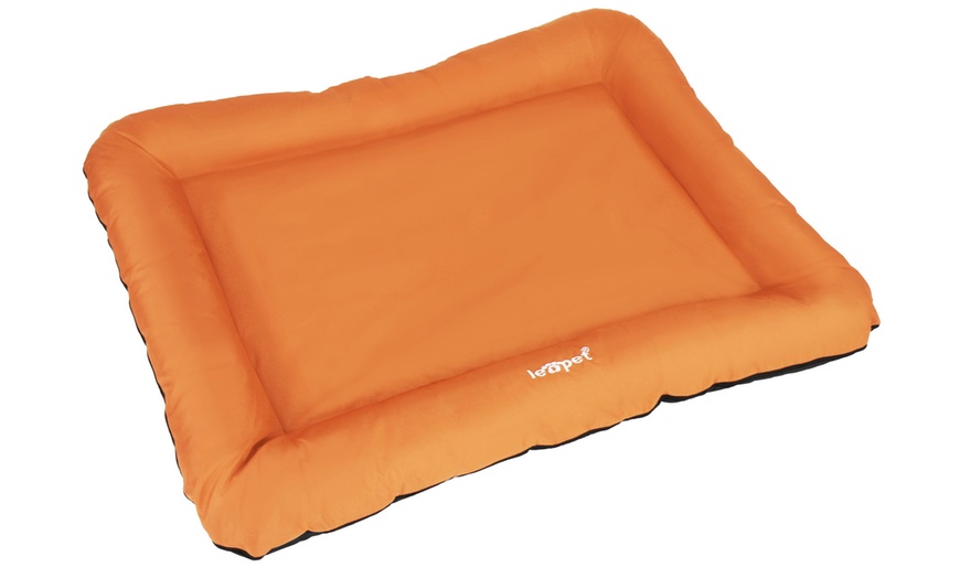 Image 29: Large Flat Dog Beds