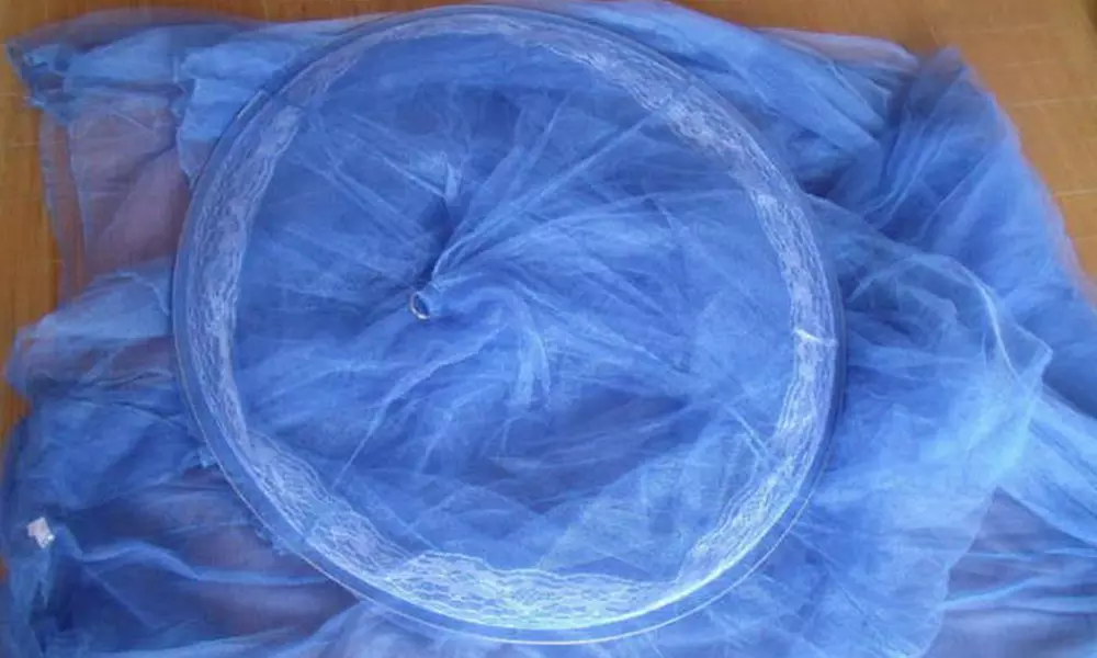 Outdoor Canopy Mosquito Net - Second Medium