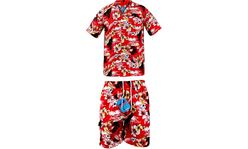 Image 4: Hawaiian Shirts and Shorts