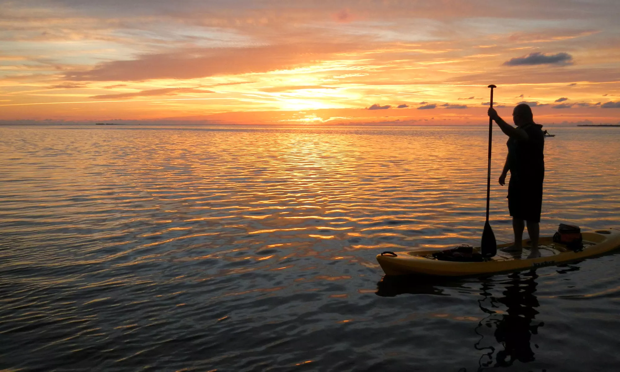Three- to Four-Hour Guided Kayaking Tour for One or Two at Florida Eco-Adventures, LLC (Up to 54% Off) - Primary Image