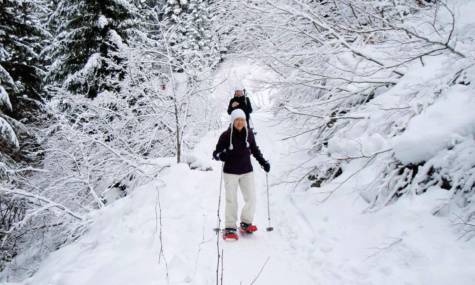 Moonlight or Day Guided Snowshoeing Tour for 2, 4, or 6 from Mt. Hood Adventure (Half ﻿Off)   - Primary Image