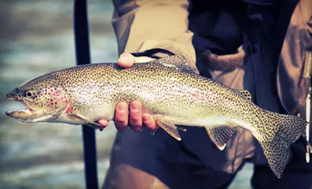 Trout Fishing Including Rod Rental and Fish for Two, Four, or Six People at Burd’s Family Fishing (Up to 53% Off) - Primary Image