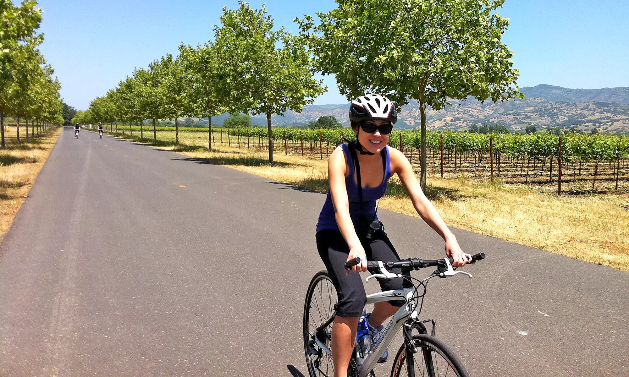Napa or Sonoma Wine Bike Tour for One or Two People from Gears and Grapes Getaways (19% Off) - Primary Image