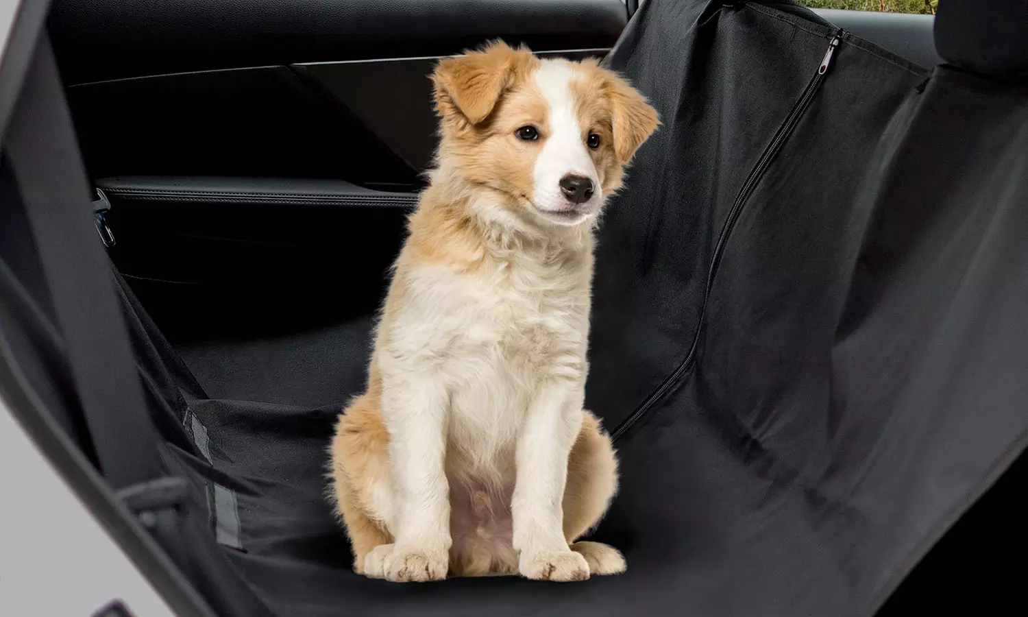 1 ou 2 housses de protection voiture imperméables pour chien avec lacets d'attache et zip - Primary Image