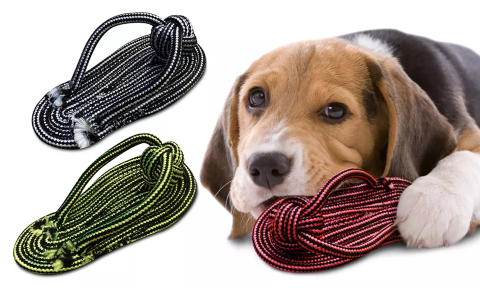 Bow Wow Flip-Flop Rope Dog Toy (3-Pack) - Primary Image