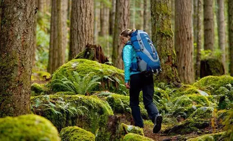 High Sierra Internal Frame Hiking Backpack in 30- or 35-Liter Sizes (Up to 71% Off). Multiple Styles Available. - Second Medium