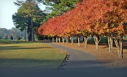 Golf for Two or Four with Cart Rental and Voucher for Grill Food at Elizabeth Manor Golf & Country Club (Up to 51% Off) - Second Medium