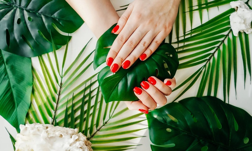 Image 2: Gel Manicure with Optional Signature or Signature Spa Gel Pedi 