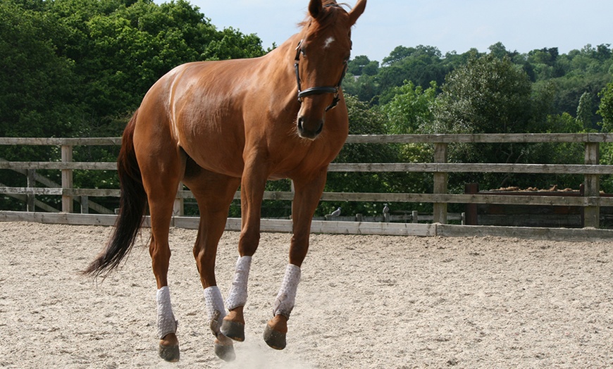 Image 2: Horse Riding With Hot Drink