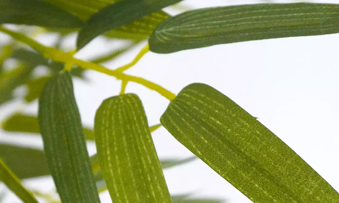 Collezione di piante finte da interno