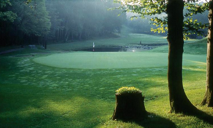 Image 6: Golf at Le Château Montebello