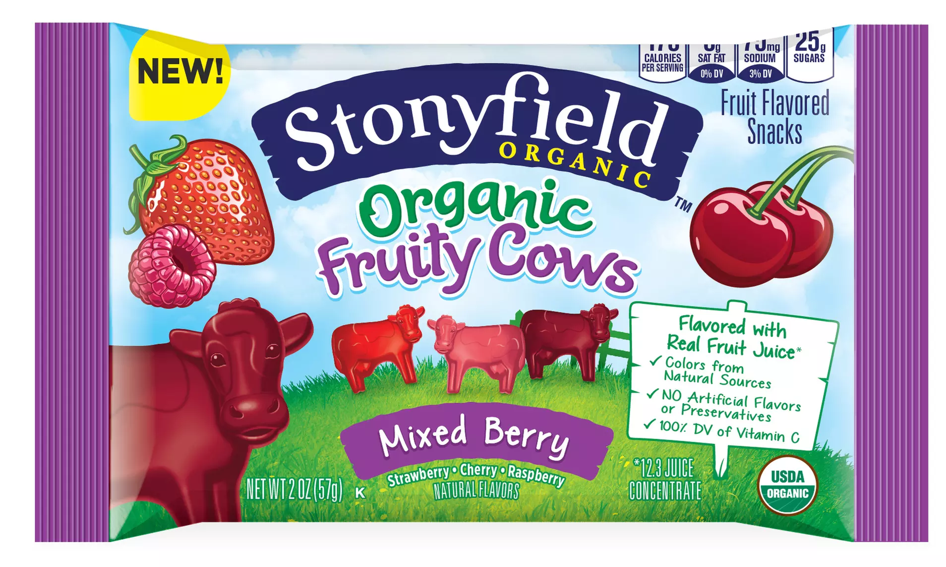 Stonyfield Organic Fruit Snacks in Mixed Berry (24-Count) - Primary Image